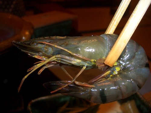 Cette crevette est supposée être délicieuse -mais elle me donne des frissons- les fruits de mer crus sont un des aspects de la cuisine japonaise que je suis incapable d'apprécier.