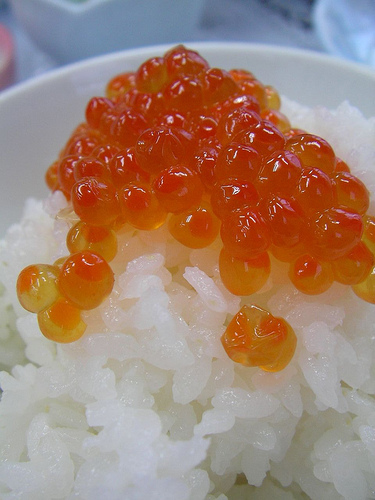 Fish eggs and rice