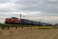 A Japanese blue train (sleeper train) is pulled past a harvested field under a cloudy sky