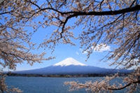 Mount Fuji (藤山) and Kawaguchi-ko lake (河口湖), Yamanashi Prefecture, Japan