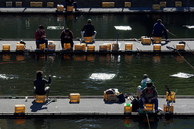 Men fishing in artificial ponds in Ichigaya, Tokyo