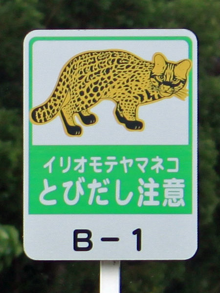 A sign warning about leopard cats in Japan