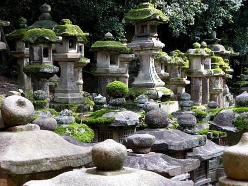 Moss covered stone lanterns in Nara’s Kasuga Taisha Shinto Shrine