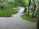 A Japanese moss garden